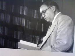 ambedkar in library